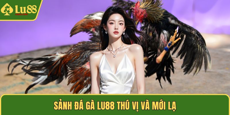 Sảnh đá gà LU88 thú vị và mới lạ